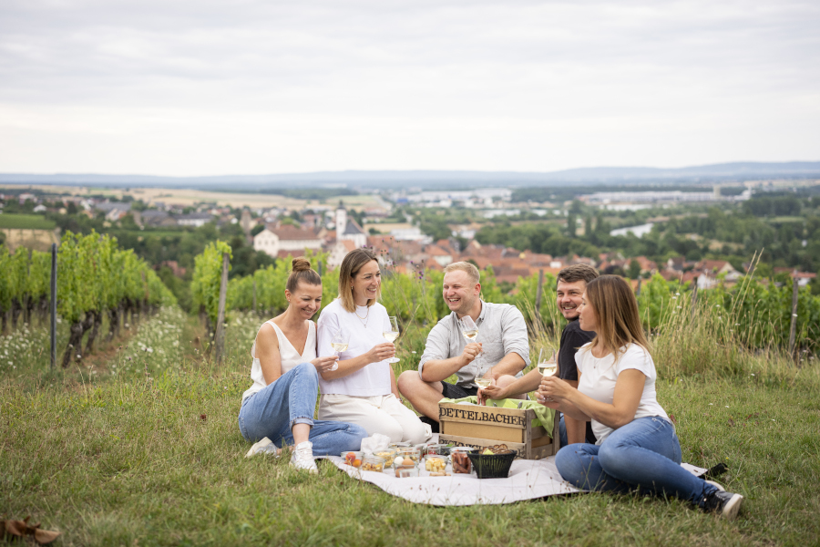 Picknick Dettelbach - Foto Atelier ZUDEM
